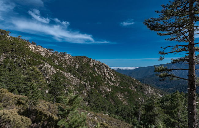 Migone de Sampolo - Foto 32