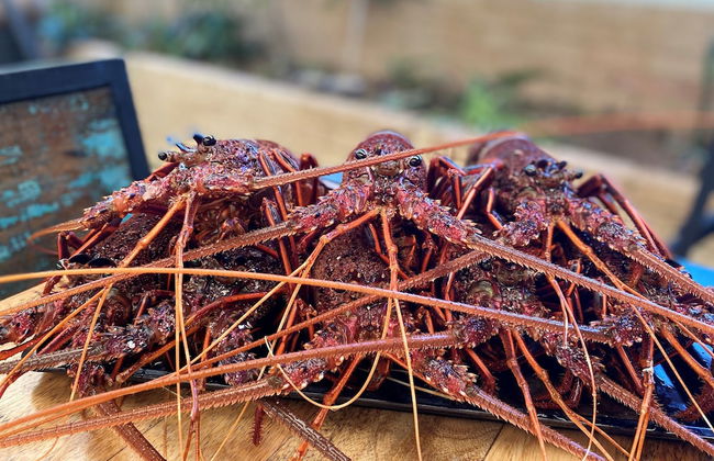 Sunset Oddes-sea - Photo 12