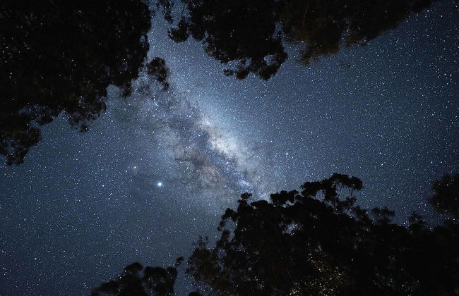 Bluegums Cabins Barrington Tops - Photo 9