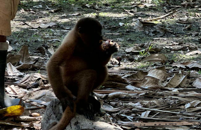 Tour de 5 dias pelo norte da Amazônia peruana - Foto 8