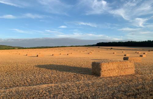 The Little Orchard - Foto 22