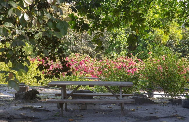 Quinta Pavo Real Complex by Acomodo - Photo 27