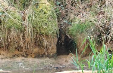 Leśna Chata kuracyjna nad rzeką z sauną w Borach Tucholskich - Foto 44