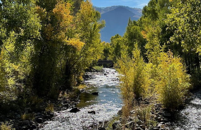 NEW 3bed 2bath With Creek and Open Spaces - Foto 17