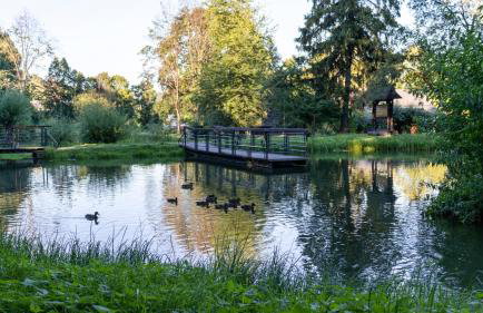 Przytulne Apartamenciki tuż przy Termach i Parku, nieopodal szlak na Turbacz, GPN, KGP - Foto 43