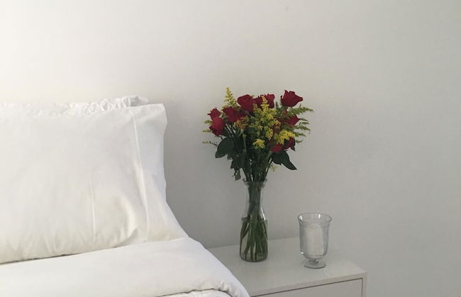 Morada Da Luz - Foto 5