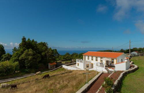 Casa da Figueirinha - Photo 7