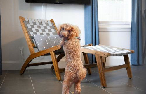 Beachside Bliss -Unit 1 - Walk to Ocean & Restaurants - Foto 3