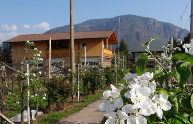 Magdalena at the Urbanhof - Foto 16