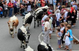 Chez Michèle et Philippe - Foto 15