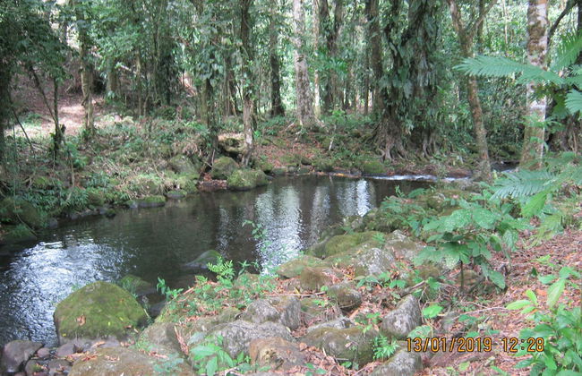 Apartamento Completo a 2 Minutos Ruta 32 - Foto 8