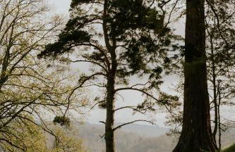 Traditional Highland lodge restored in the spirit of rural living, set in a wild landscape - NATURE ADVENTURE NURTURE - Foto 18