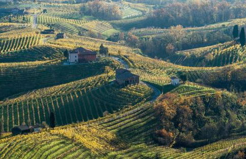 Centralissimo con vista colline - Foto 36