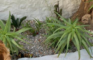 Althea Garden House - Foto 18