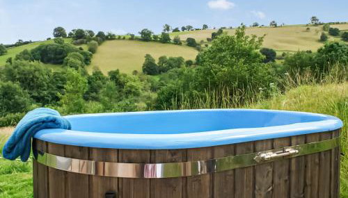 Barcud Coch - Uk44539 - Foto 2