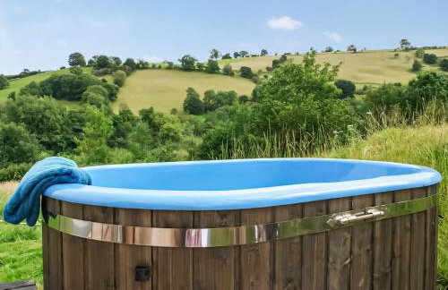 Barcud Coch - Uk44539 - Foto 2