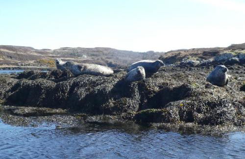 The Causeway - Foto 47