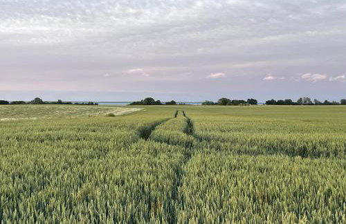 Przystanek Puck - Photo 35