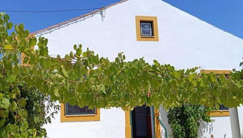 Casa 2 Jardins - Foto 3, Garden, Garden view