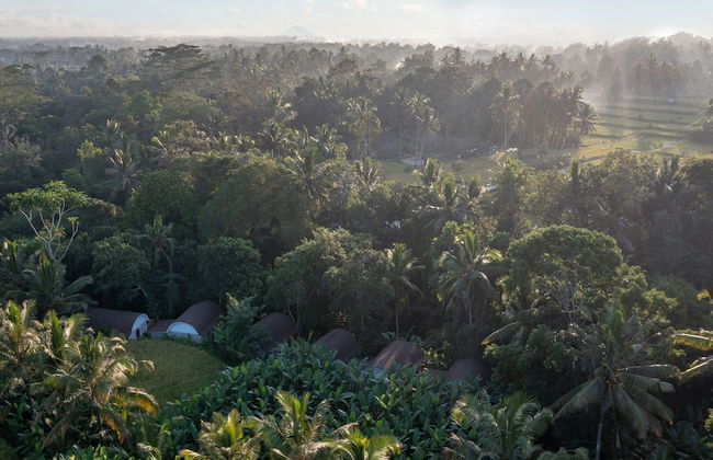 Sacred Canyon Ubud by GenuineHost - Foto 47
