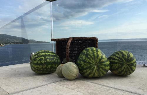 Villa Basthel direct aan zee ,verwarmd zwembad,sauna en garage - Photo 12