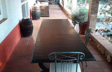 Monte do Rei Santo - Foto 11