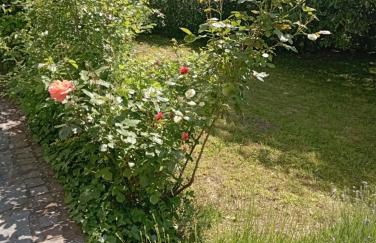 Obergeschoss - Katharina von Berg - Foto 42