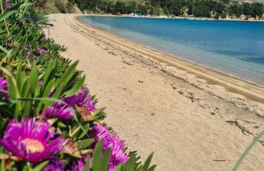 Apartments Simurina - Foto 9