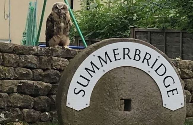 Braisty Woods - Knotty & Nice - Foto 16