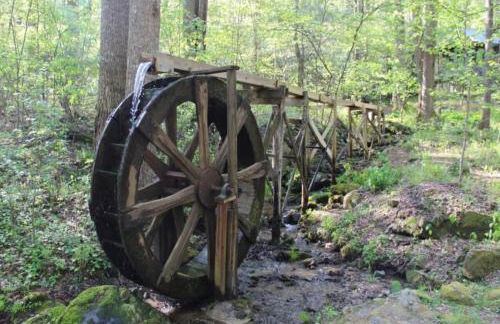 Bird's Nest cabin at Cabin Fever in NC - Foto 15