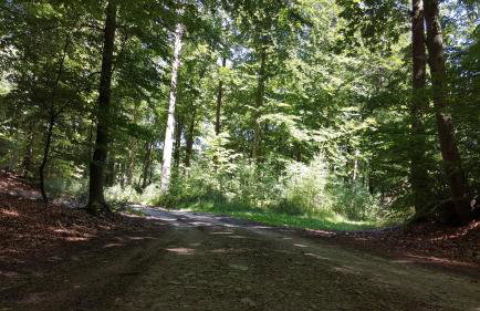 Domki u Eryka - Foto 16