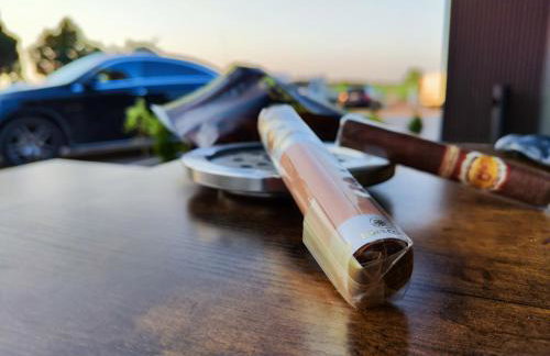 Vigor Horses - Foto 73