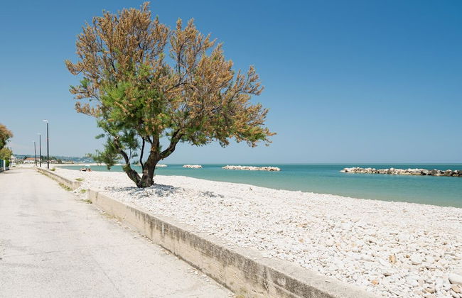 Ostriche 2 in Torino di Sangro Marina - Foto 25