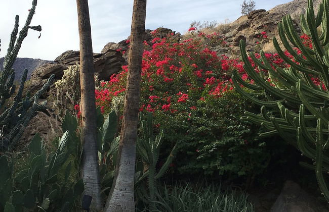 GetAways at Palm Springs Tennis Club - Foto 39