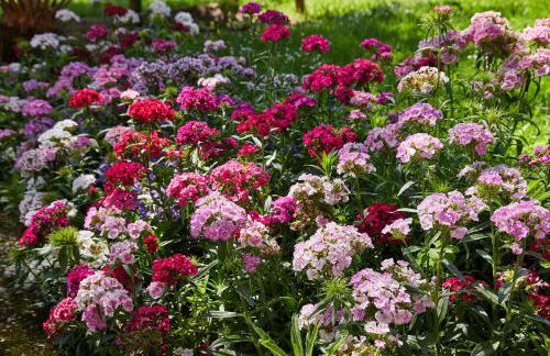 Epotx Etxea - Foto 7