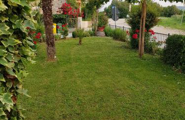 Villa Ivana - Photo 50