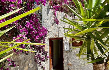 Cretan Hive - Foto 14