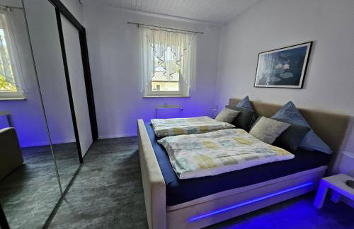 Apartments am Saalebogen mit Gartenterrasse, Grillkamin und freie Parkplätze - Foto 41