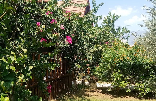 Riviera Bungalow Evleri Demre - Photo 46