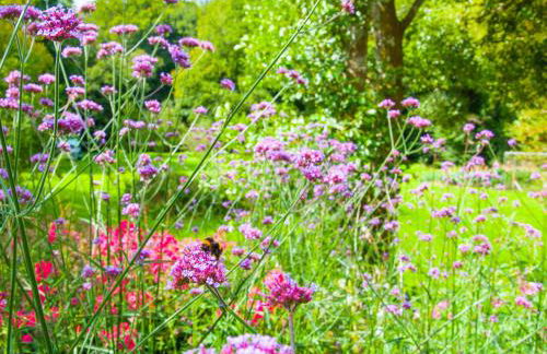 Brightley Mill Barn - Photo 16