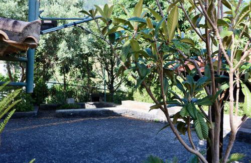 Villa with Mountain view, São Vicente, Madeira - Foto 54