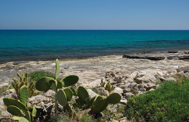 Cala Sol - Viola - Photo 15