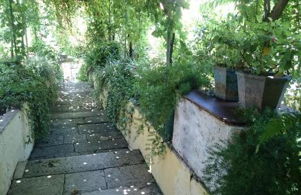 Apartments Petković - Foto 12