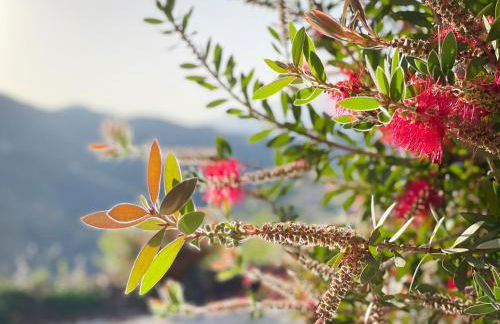 Luxury villa - breathtaking views - hot tub - 15' to beach - Foto 54