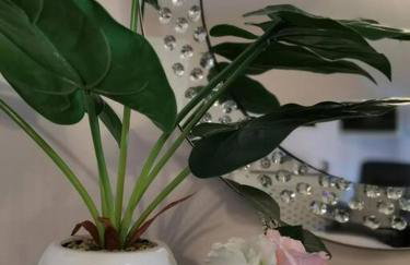 B'Dazzled Flat, Castletown - Photo 6