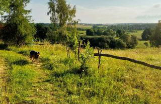Świerkowe Ranczo Raciszewo - Foto 29