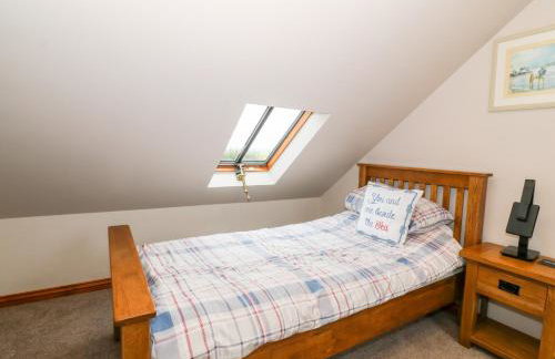 Craig Y Deryn - Foto 15