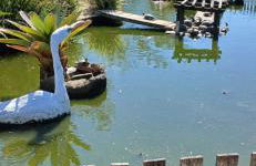 Refugio dos Sonhos a apenas 100m do mar - Foto 11