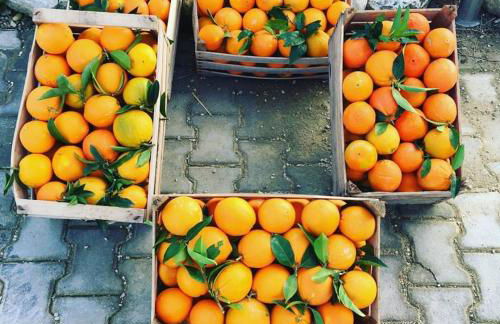 Tenuta Lanza Il Mulino - Foto 61