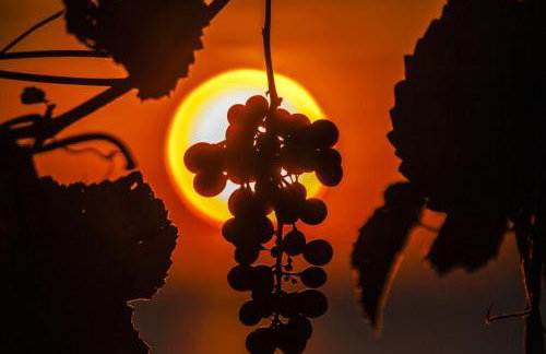 Villa Franka 113 - Foto 58